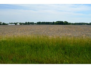 Property photo 34 - FARM & LAND AUCTION - 125+/- ACRES OFFERED IN 5 TRACTS IN EAST ALLEN COUNTY, INDIANA